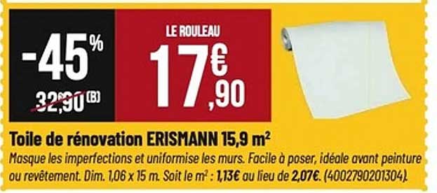 Toile de rénovation ERISMANN 15,9 m²