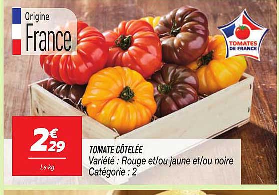 TOMATE COTELÉE