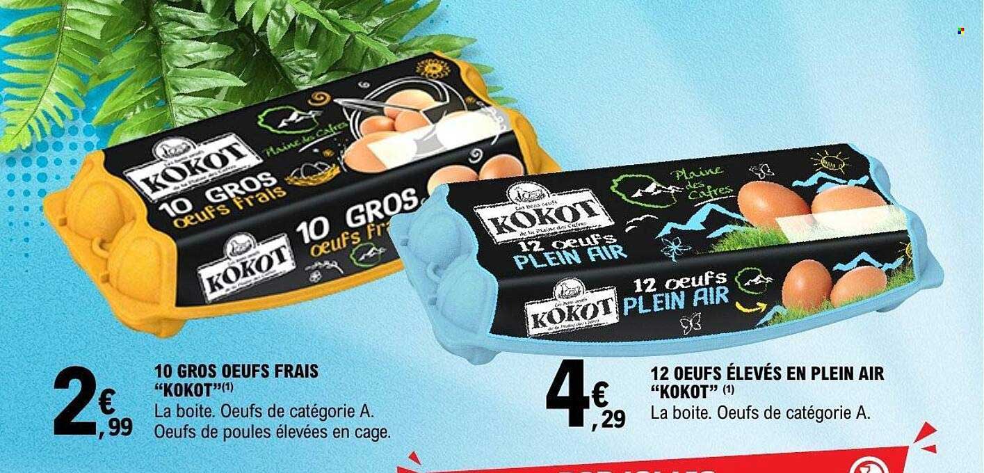 10 GROS OEUFS FRAIS “KOKOT”