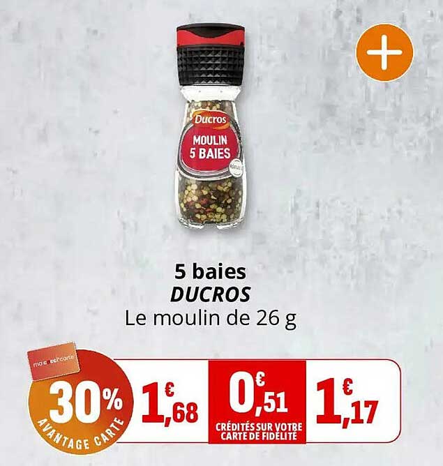 5 baies DUCROS Le moulin de 26 g