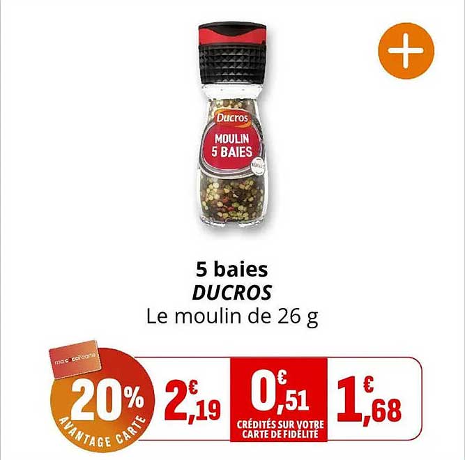 5 baies DUCROS Le moulin de 26 g