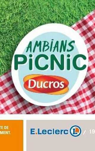 AMBIANS PICNIC Ducros