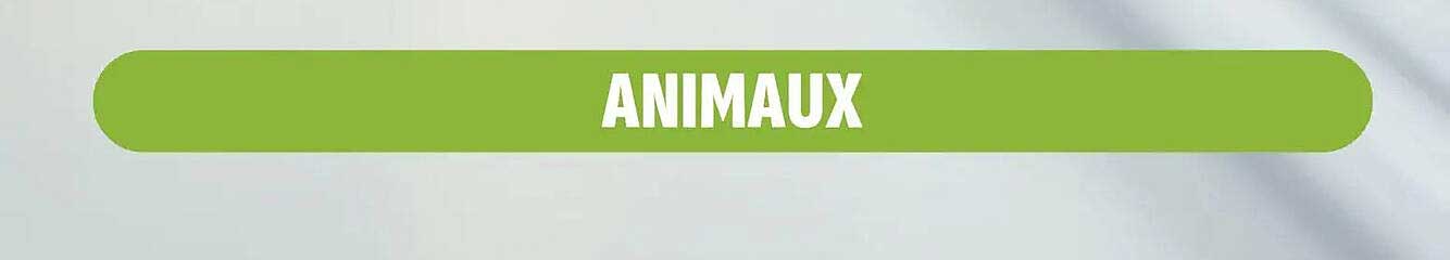 ANIMAUX