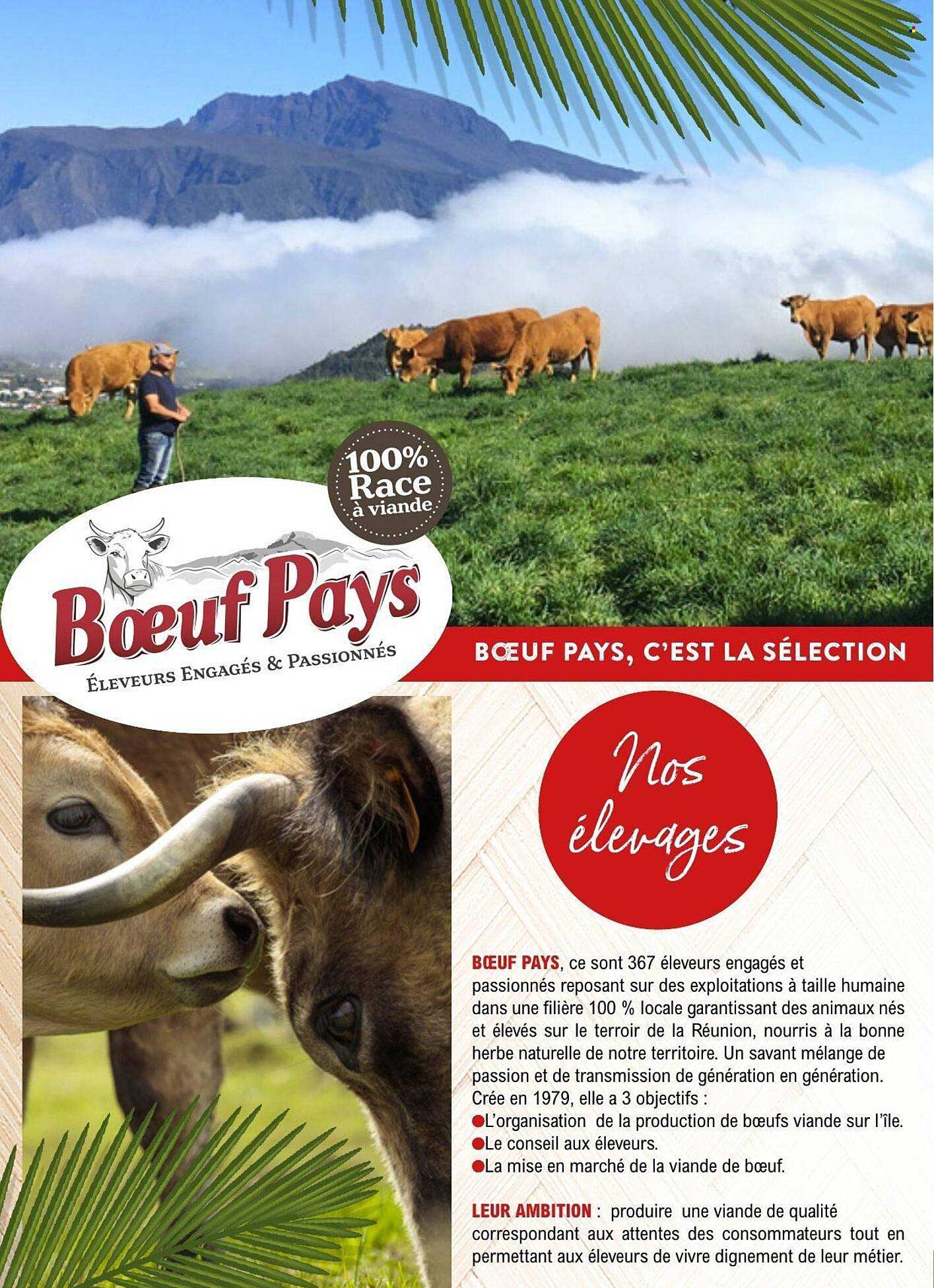 Bœuf Pays, c’est la sélection