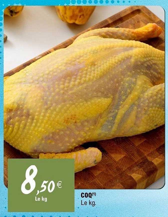 COQ(1)