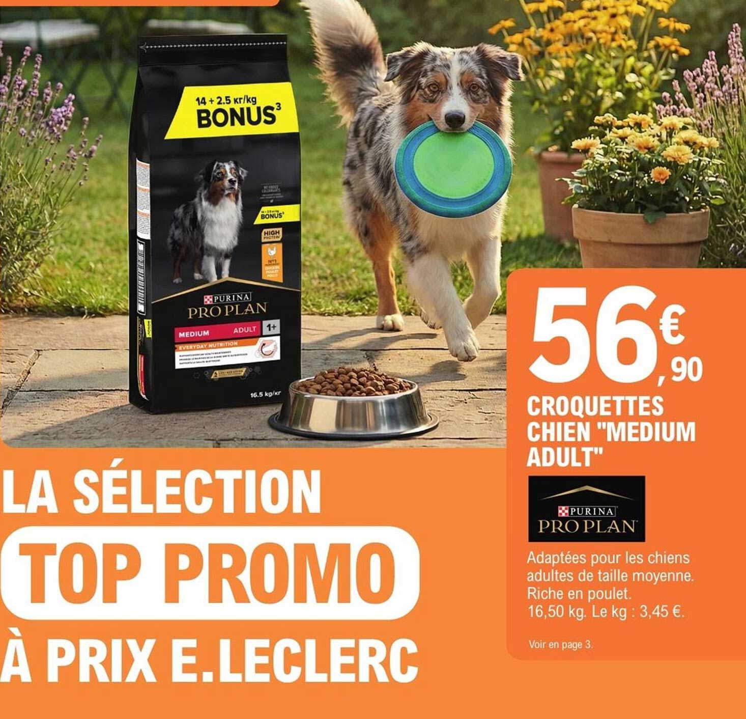 CROQUETTES CHIEN "MEDIUM ADULT"