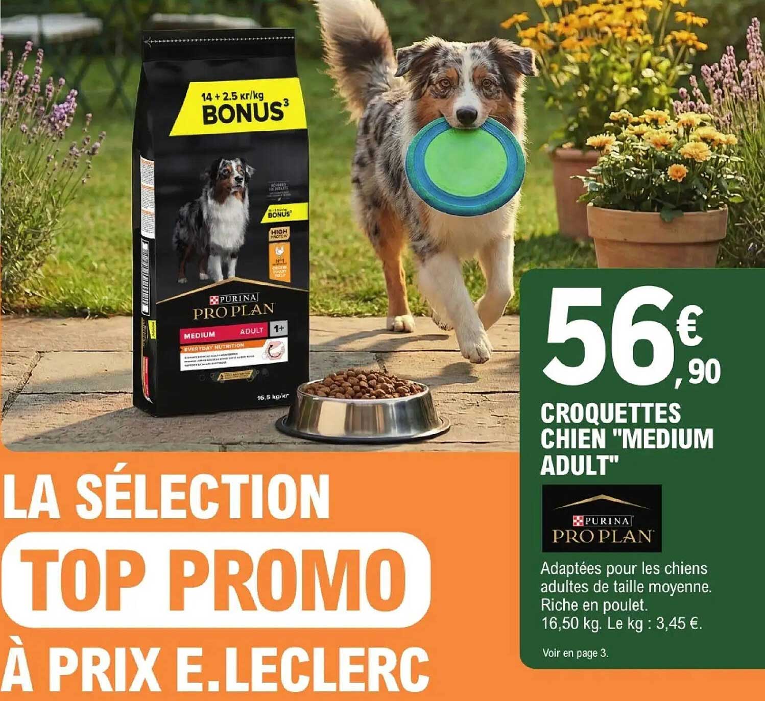 CROQUETTES CHIEN "MEDIUM ADULT"