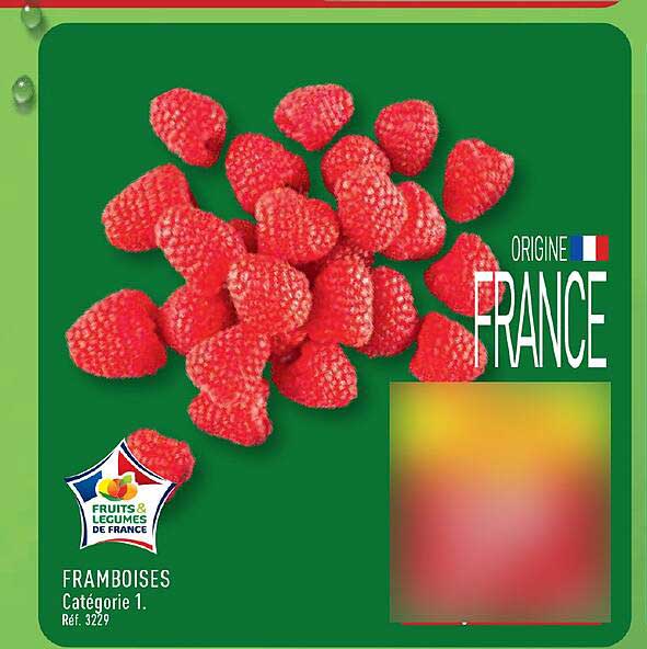 FRAMBOISES Catégorie 1. Réf. 3229