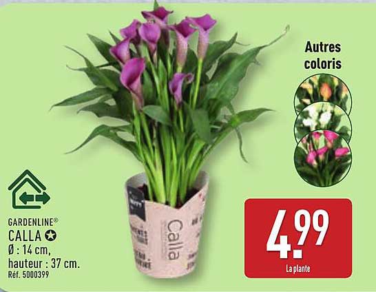GARDENLINE® CALLA Ø : 14 cm, hauteur : 37 cm. Réf. 5000399