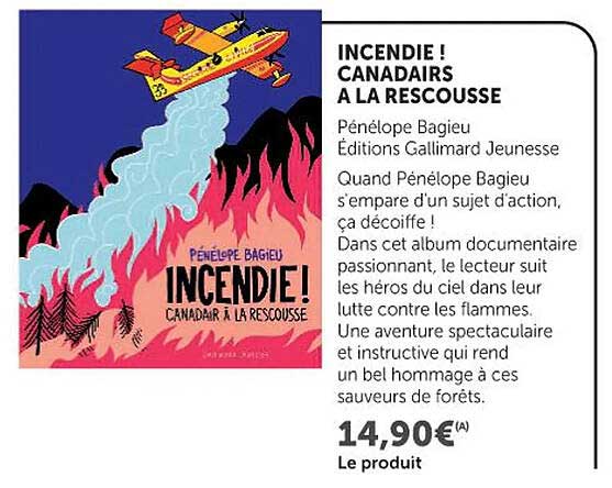 INCENDIE ! CANADAIRS A LA RESCOUSSE