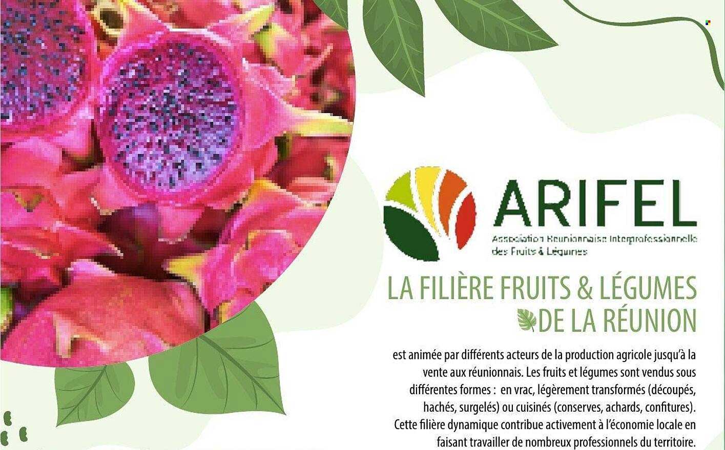 LA FILIÈRE FRUITS & LÉGUMES DE LA RÉUNION