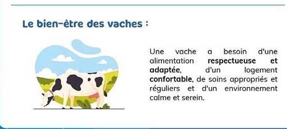 Le bien-être des vaches :