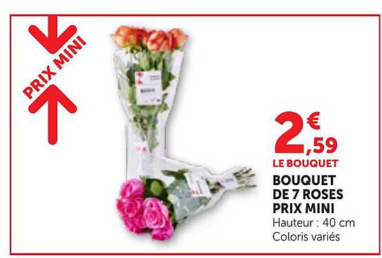 LE BOUQUET BOUQUET DE 7 ROSES PRIX MINI