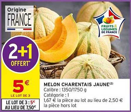 MELON CHARENTAIS JAUNE