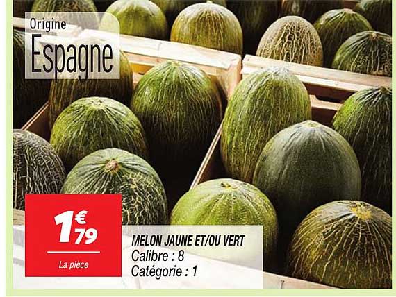 MELON JAUNE ET/OU VERT
