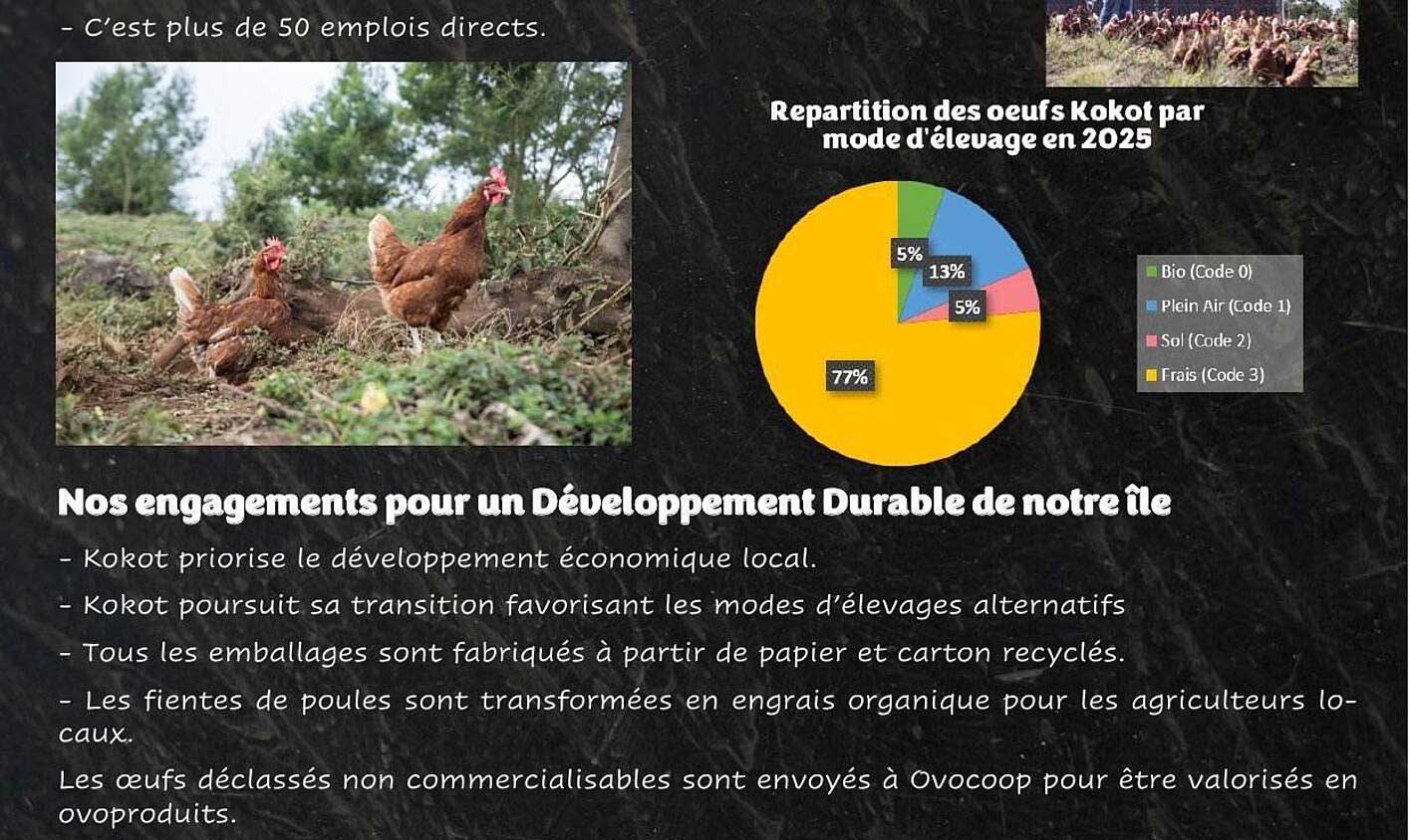 Nos engagements pour un Développement Durable de notre île