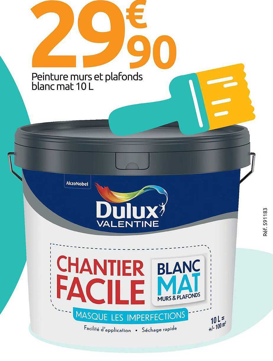 Peinture murs et plafonds blanc mat 10 L