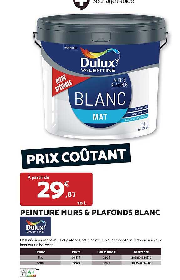 PEINTURE MURS & PLAFONDS BLANC