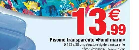 Piscine transparente «Fond marin»