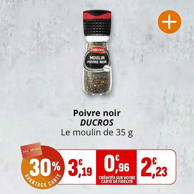 Poivre noir DUCROS Le moulin de 35 g