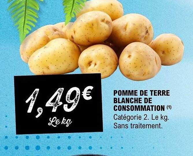 POMME DE TERRE BLANCHE DE CONSOMMATION