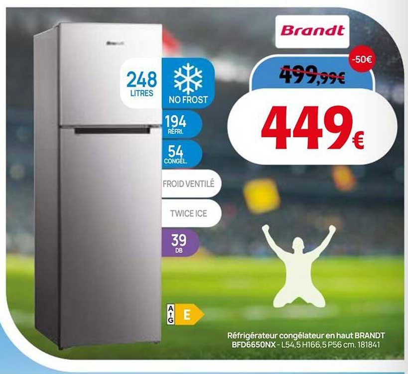 Réfrigérateur congélateur en haut BRANDT BFD6650NX