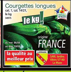 Courgettes longues