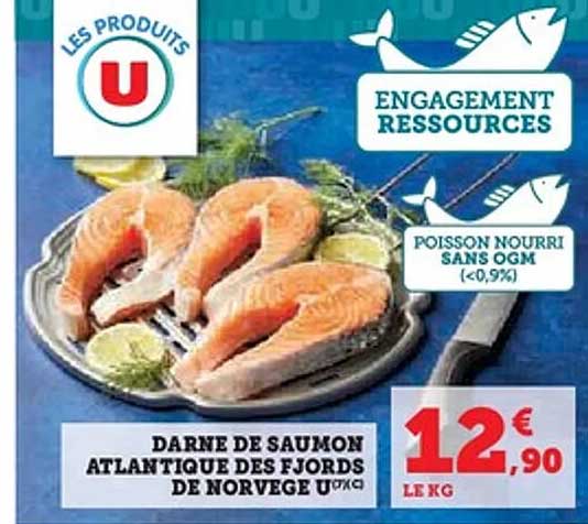 Darne de saumon atlantique des fjords de Norvège U