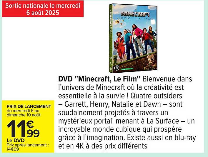 DVD "Minecraft, Le Film"