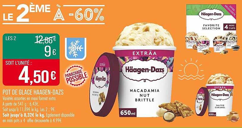 POT DE GLACE HAAGEN-DAZS