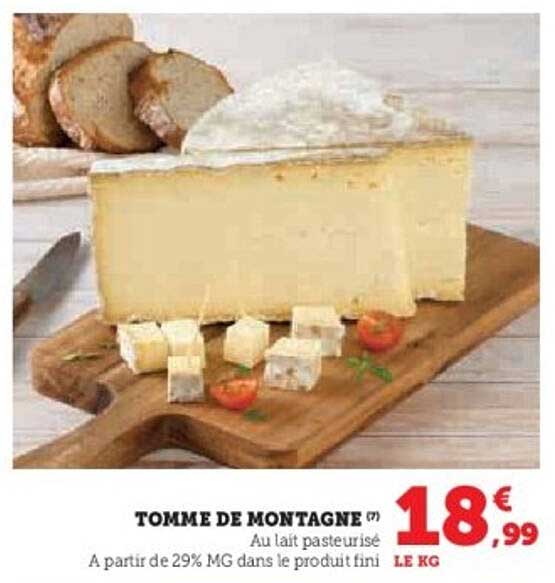 TOMME DE MONTAGNE