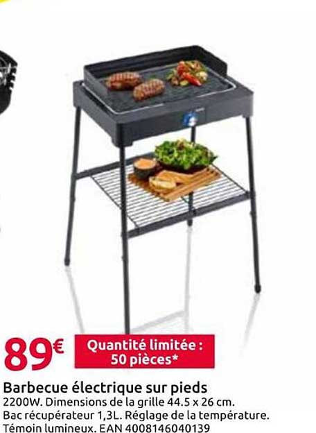 Barbecue électrique sur pieds