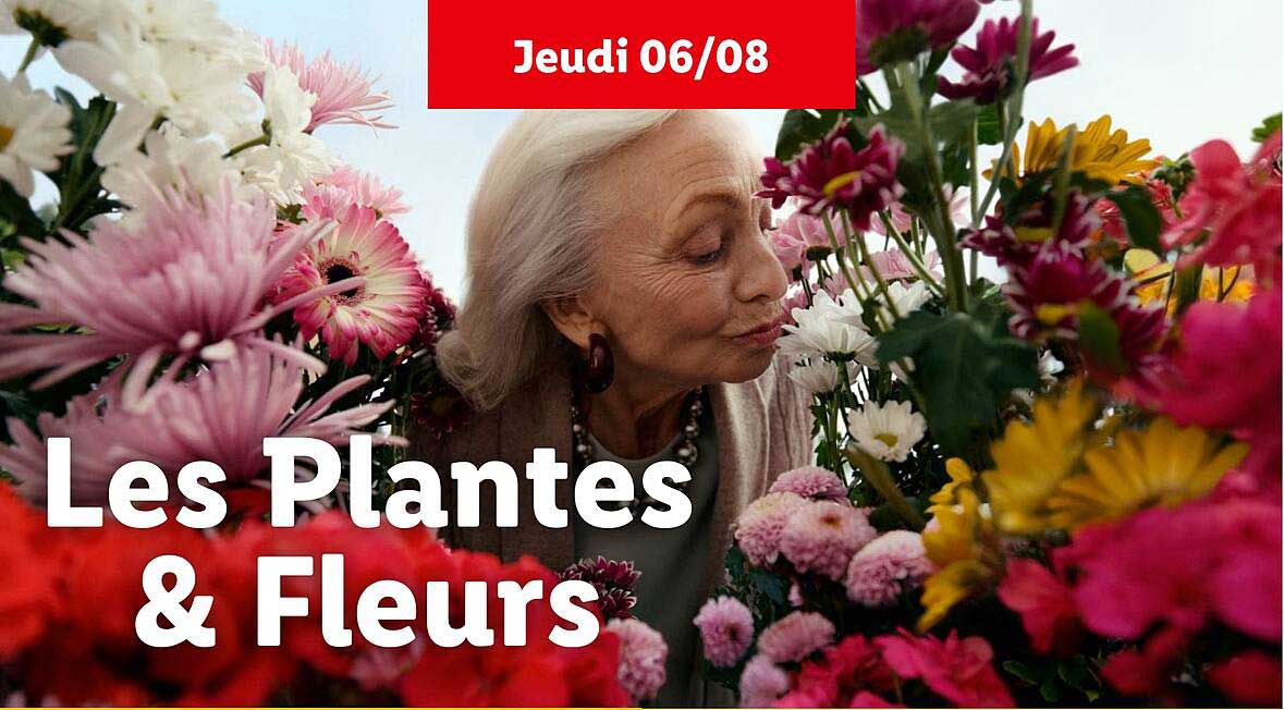 Les Plantes & Fleurs