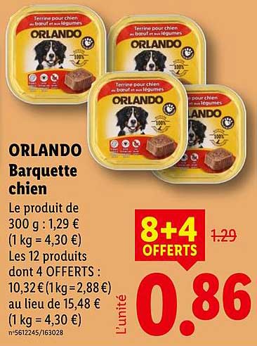 ORLANDO Barquette chien