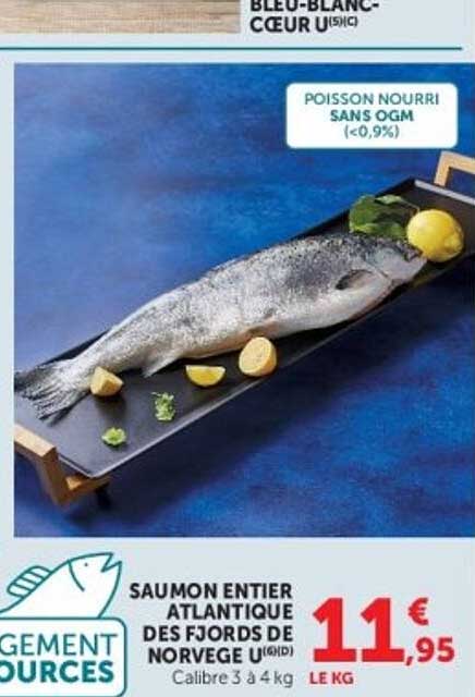 SAUMON ENTIER ATLANTIQUE DES FJORDS DE NORVEGE U (QUID)