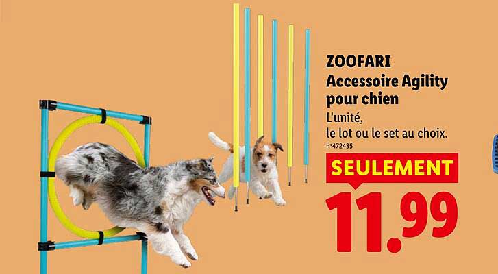 ZOOFARI Accessoire Agility pour chien