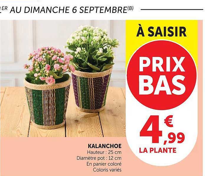 À SAISIR PRIX BAS