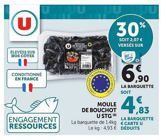 MOULE DE BOUCHOT U STG (8)