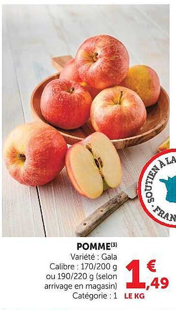 POMME(3) Variété : Gala Calibre : 170/200 g ou 190/220 g (selon arrivage en magasin) Catégorie : 1