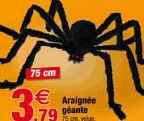 Araignée géante