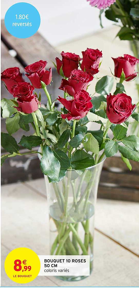 BOUQUET 10 ROSES 50 CM coloris variés