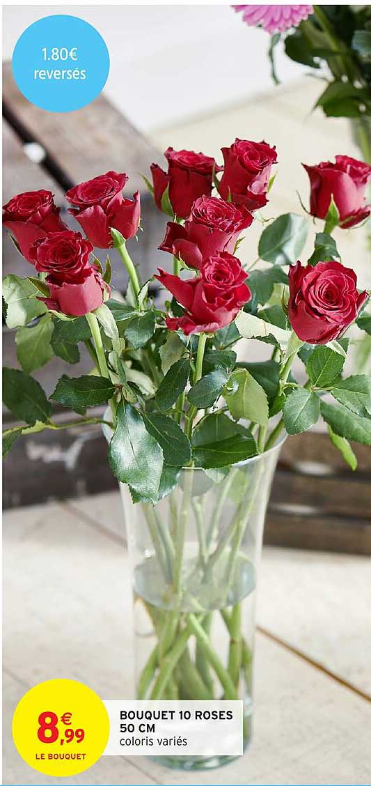 BOUQUET 10 ROSES 50 CM coloris variés