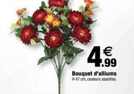 Bouquet d'alliiums