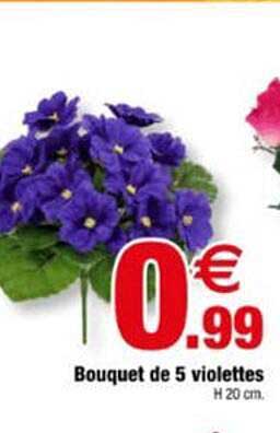 Bouquet de 5 violettes