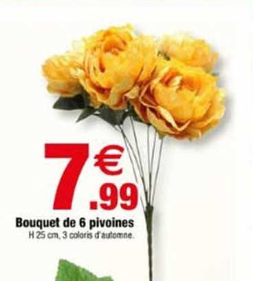 Bouquet de 6 pivoines
