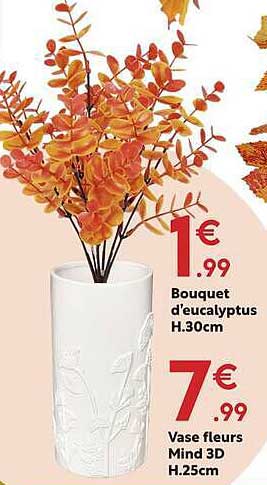 Bouquet d'eucalyptus H.30cm