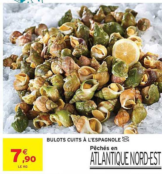 BULOTS CUITS À L'ESPAGNOLE