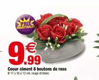 Coeur ciment 8 boutons de rose