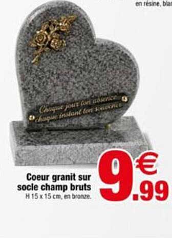 Coeur granit sur socle champ bruts