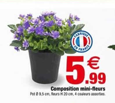 Composition mini-fleurs